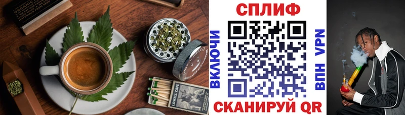 закладка Снежногорск Canna-Cookies конопля