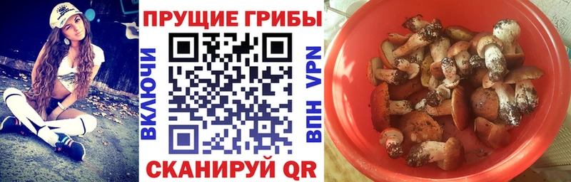 Галлюциногенные грибы Psilocybe  shop Telegram  Снежногорск 